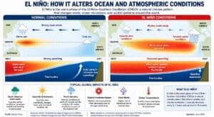 Home Image: Infographic: Muser Press, based on information from NOAA, WMO, Copernicus Climate Change Service and NASA Earth Observatory