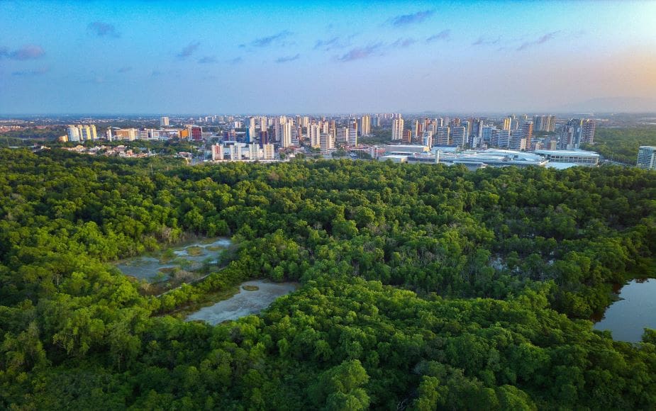 Image: aerial view of Fortaleza, cityscape bordering a lush tropical forest (s. habitability, environment)