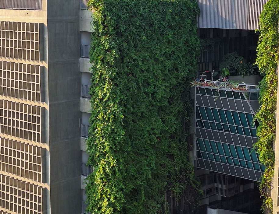 Home Image: Aerial view of a modern building with a lush vertical garden facade