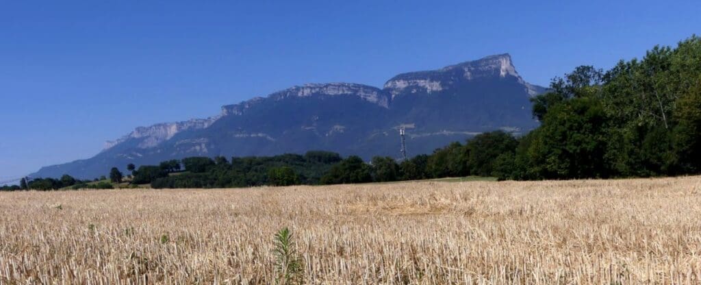 Home Image: Dry fields (s. climate change, drought)