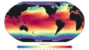 Home Image: Graphic - Sea surface temperature (29 June 2026). Data: ERA5