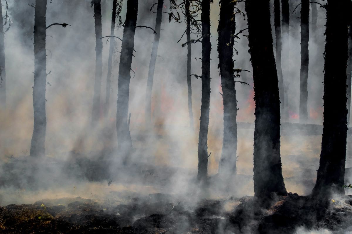 Human activity linked to more frequent Arctic fires