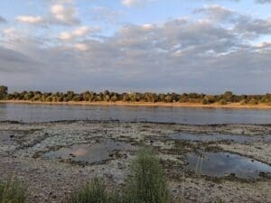 Home Image: Low water levels expose parts of the Rhine riverbed; Rhine River, Germany