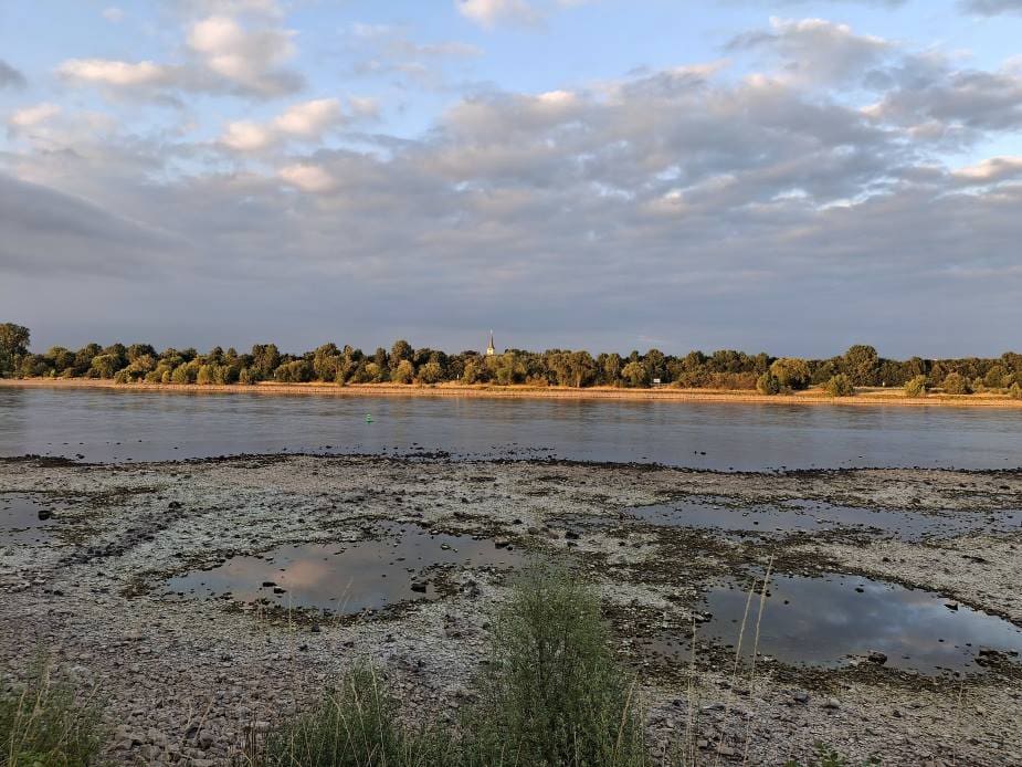 Image: Low water levels expose parts of the Rhine riverbed; Rhine River, Germany