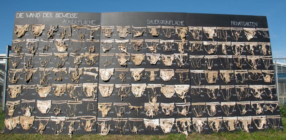 Home Image: selection of the more than 2,000 cotton underwear items in various stages of decomposition that were buried in fields, meadows, and gardens