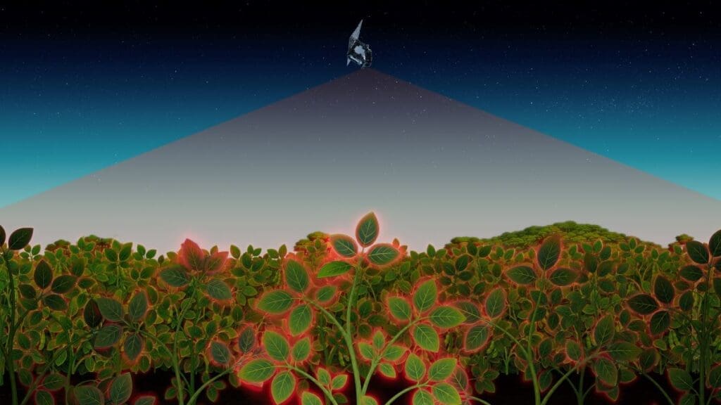 Image: Detecting plant stress from space