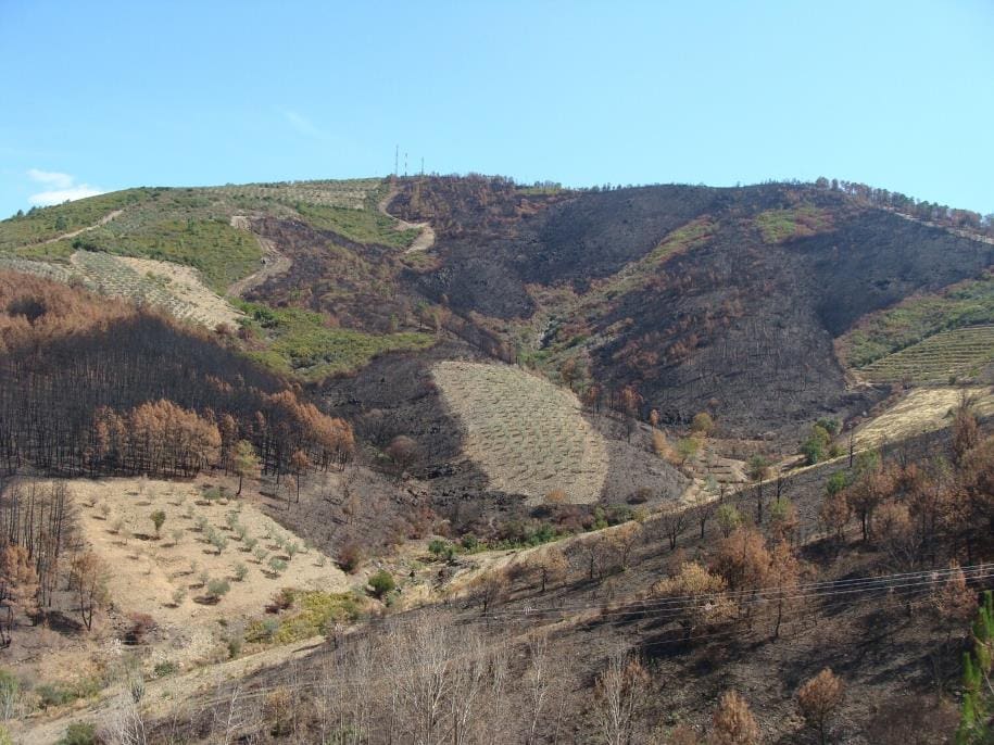 Home Image: he 'Mosaico Extremadura' initiative in northern Extremadura (Spain)