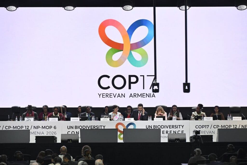 Image: Delegates attend a plenary session at the UN Biodiversity Conference (COP17) in Yerevan, Armenia, on October 30, 2026