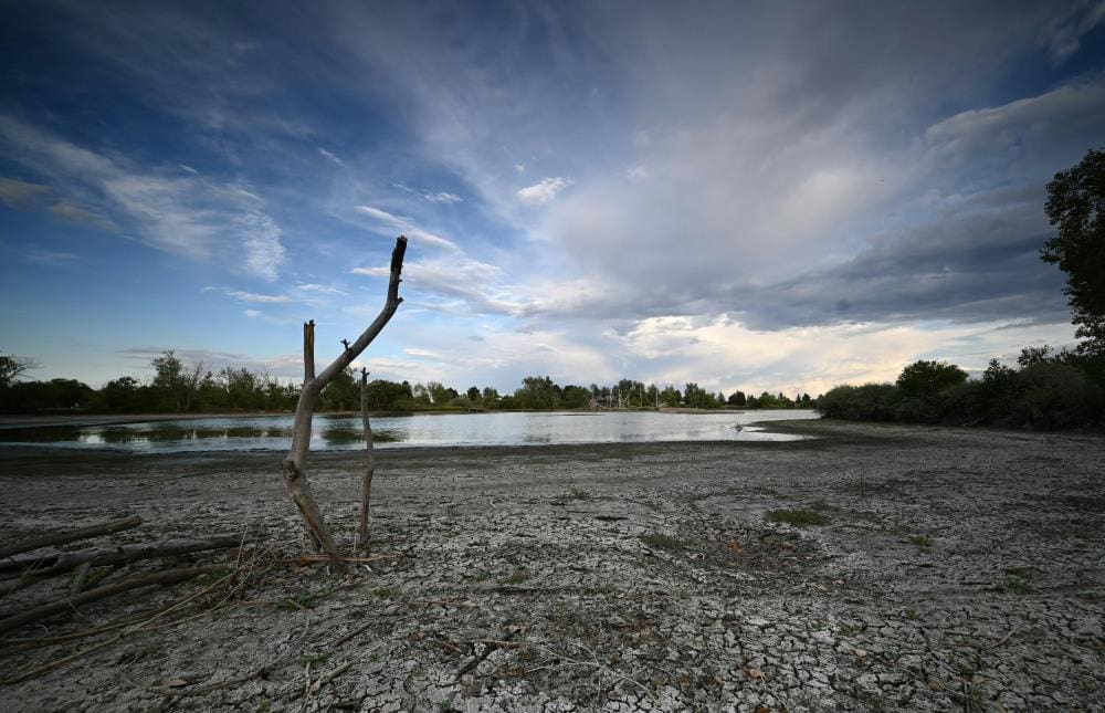 Image: dry cracked lake bed with a dead tree under a cloudy sky