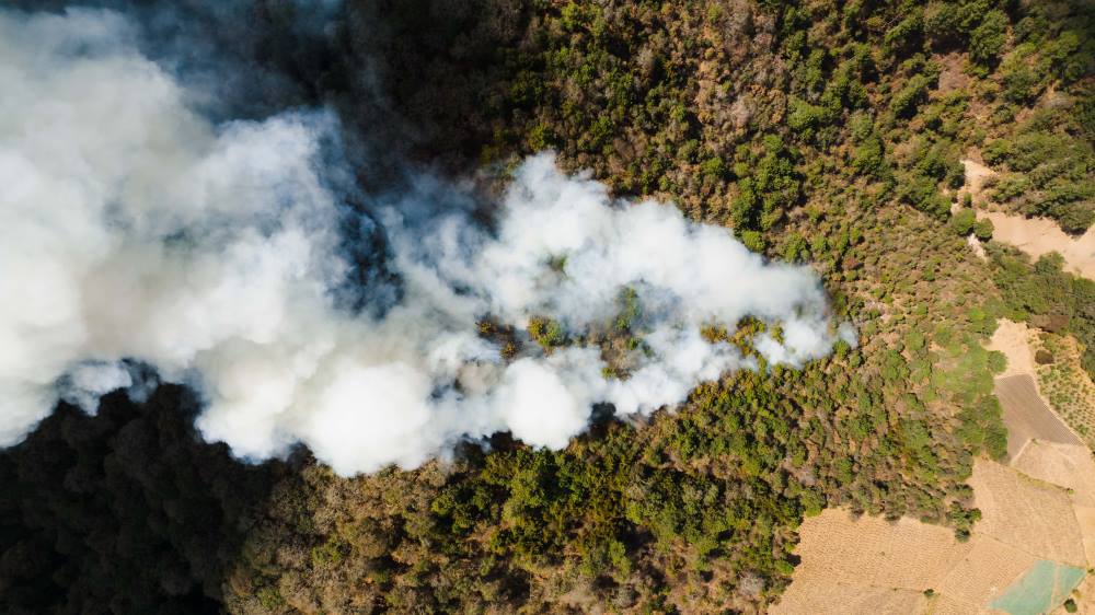 Home Image: aerial view capturing smoke over a dense forest landscape