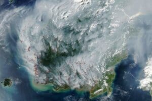 Home Satellite Image: Satellite imagery captured on 1 September 2026 shows thick smoke plumes rising from fires across Borneo, Indonesia